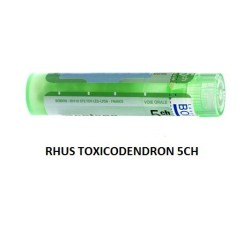 Boiron Rhus Toxicodendron...