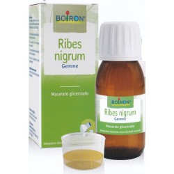 Boiron Ribes Nigrum...
