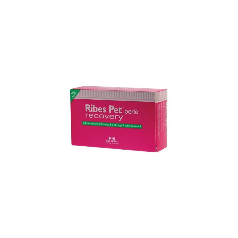 N. B. F. Lanes Ribes Pet Recovery Blister 60 Perle