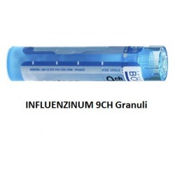 Boiron Influenzinum 9ch Gr