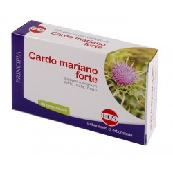 Kos Cardo Mariano Forte 60...