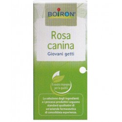 Boiron Rosa Canina Macerato...