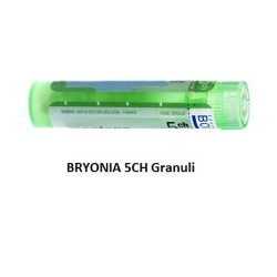 Boiron Bryonia 5ch 80gr 4g