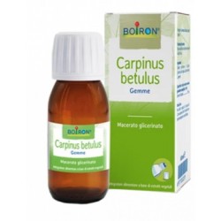 Boiron Carpinus Betulus...