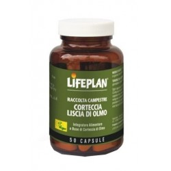 Lifeplan Products Corteccia...