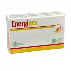 Anvest Health Energinex 10...