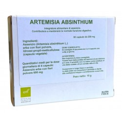 Oti Artemisia Absinthium 60...