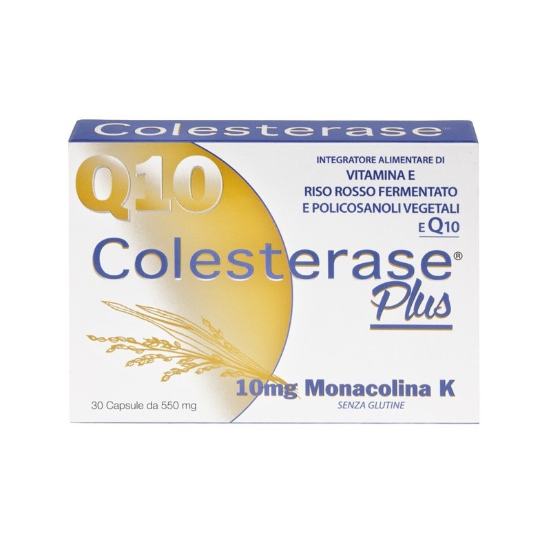 Wp Corporate Colesterase Plus 30 Capsule
