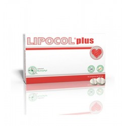 Anvest Health Lipocol Plus...