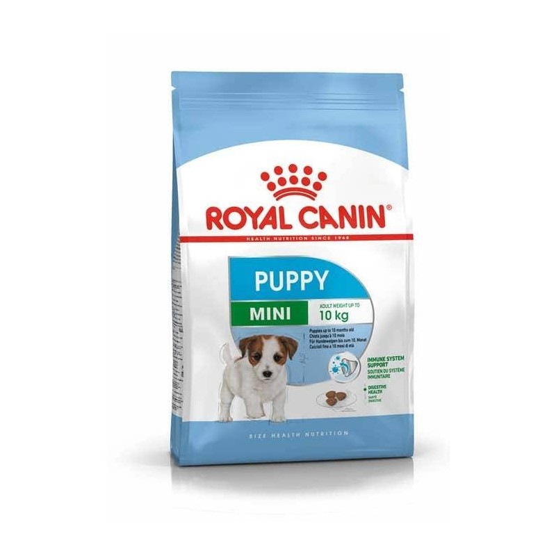 Royal Canin Italia Size Health Nutrition Mini Junior 2 Kg