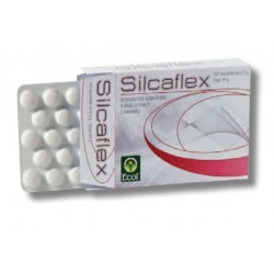 Ecol Silcaflex 100...