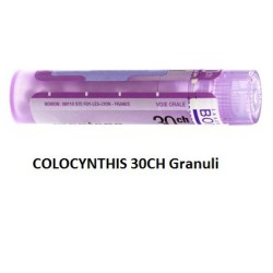 COLOCYNTHIS 30CH GR