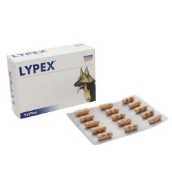 Vetplus Lypex 60 Capsule