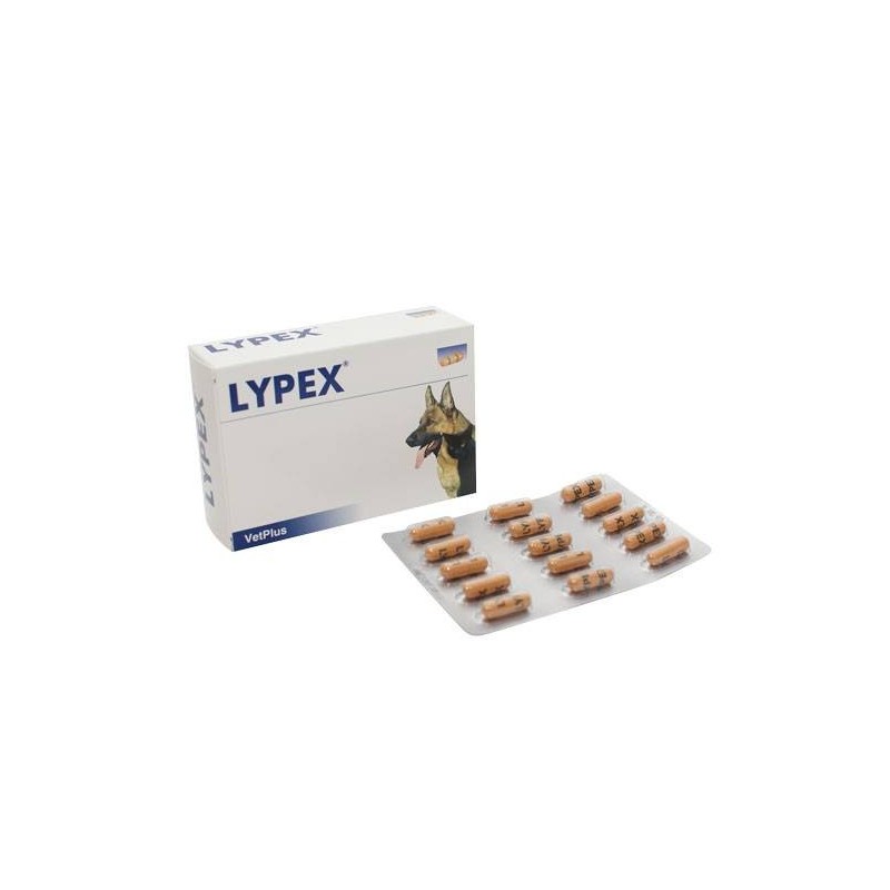 Vetplus Lypex 60 Capsule