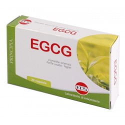Kos Egcg The Verde 30...