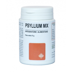 Gheos Psyllium Mix 90 Capsule