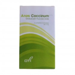Oti Anas Coccinum H17 6...