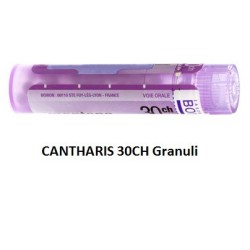 CANTHARIS 30CH GR
