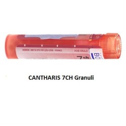 CANTHARIS 7CH GR