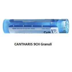 CANTHARIS 9CH GR