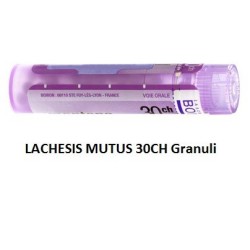 LACHESIS MUTUS 30CH GR